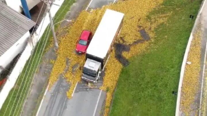 FOTOS Laranjas invadem pista da BR-101 após acidente em São José