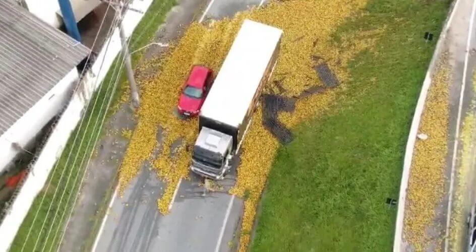 FOTOS Laranjas invadem pista da BR-101 após acidente em São José
