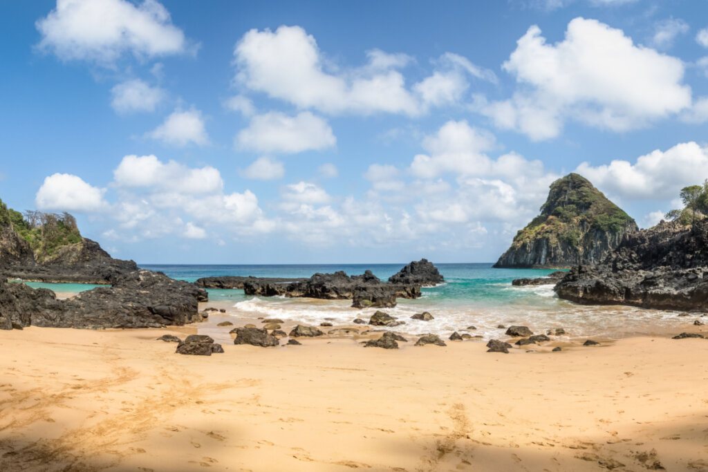 Fernando de Noronha tem uma fauna marinha exuberante (Imagem: Diego Grandi | Shutterstock)