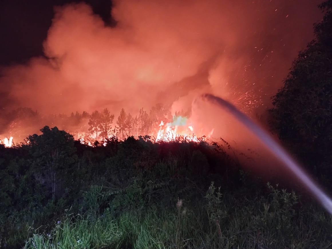 Imagem aérea mostra dimensão de incêndio no Parque da Serra do Tabuleiro, em Palhoça
