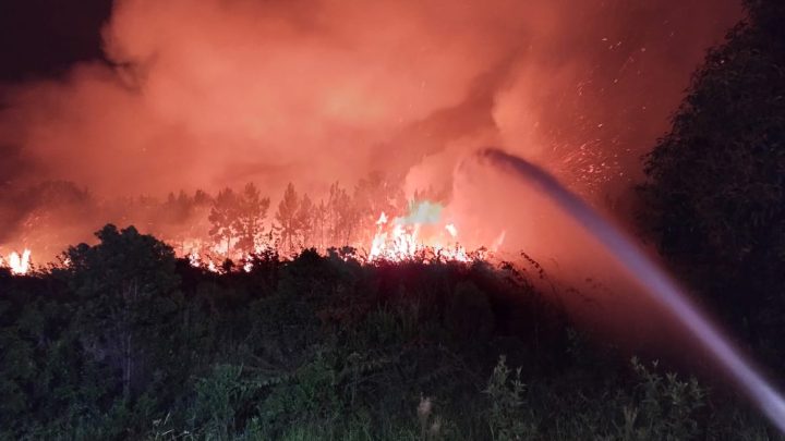 Imagem aérea mostra dimensão de incêndio no Parque da Serra do Tabuleiro, em Palhoça