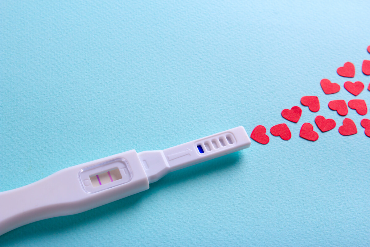 Inseminação artificial pode ser feita com o esperma do marido ou de um doador (Imagem: ADragan | Shutterstock)