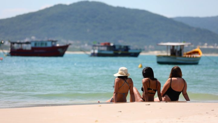 Conheça a Ilha do Campeche