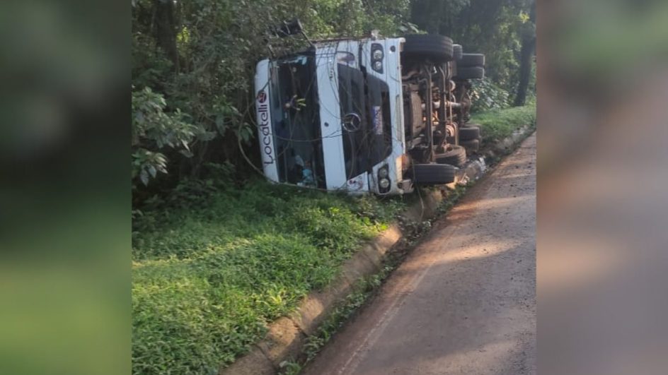 Porcos morrem após caminhão capotar na BR-282