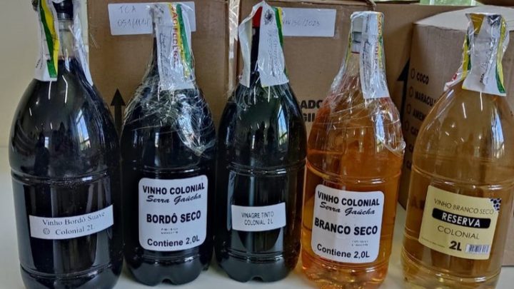 Suspeita de fraude na produção e venda de vinho colonial em SC termina com apreensão milionária