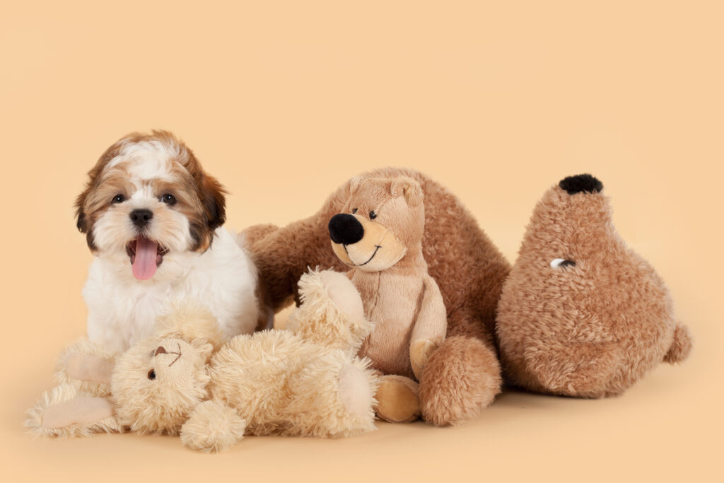 Brinquedos com aromaterapia ajudam a acalmar e confortar o pet (Imagem: Picture-Pets | Shutterstock)