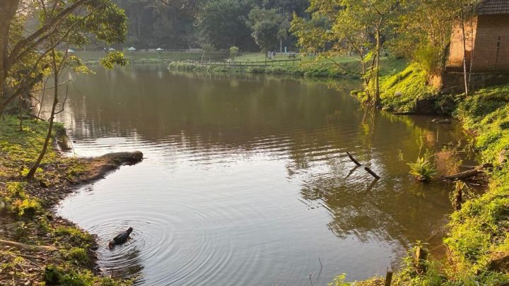 Joinville tem sensação térmica próxima dos 50°C nesta sexta-feira