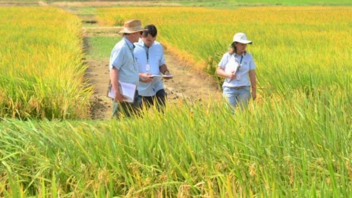 epagri produção rural