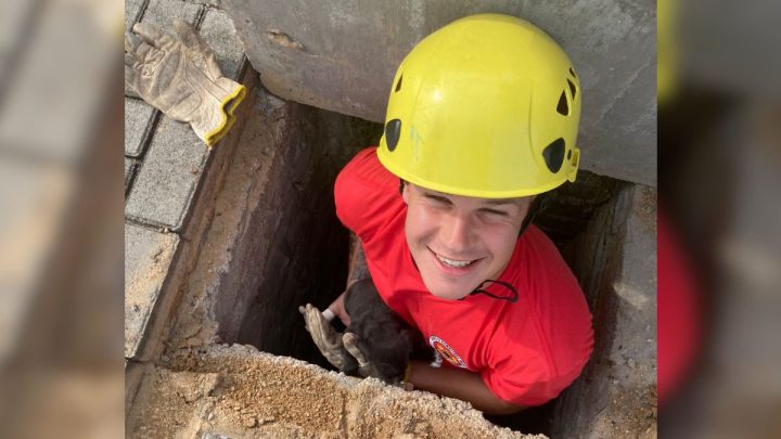 Bombeiros resgatam oito filhotes de cachorros que estavam presos em bueiro em SC