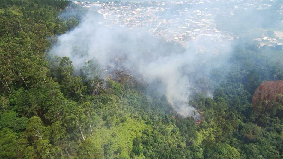 Incêndio de grandes proporções atinge vegetação nativa na Grande Florianópolis