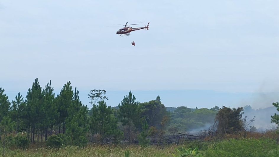 incêndio florestal palhoça
