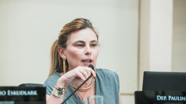 Deputada Paulinha