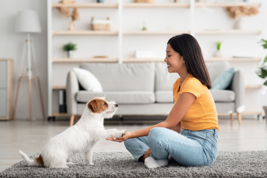 É importante que os animais tenham companhia para evitar estresse e outros sintomas emocionais (Imagem: Prostock-studio | Shutterstock)