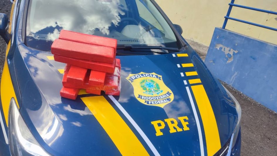 Espécie de ''supermaconha'' (Foto: Divulgação, PRF)