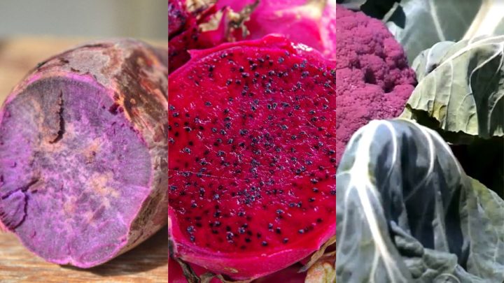 Batata-doce coloridas, pitaia e couve-flor roxa estão entre itens coloridos e curiosos cultivados em SC