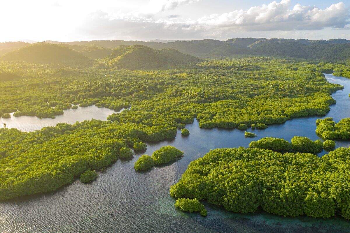 Amazônia atrai os turistas por suas paisagens deslumbrantes e riqueza cultural (Imagem: Valentin Ayupov | Shutterstock)