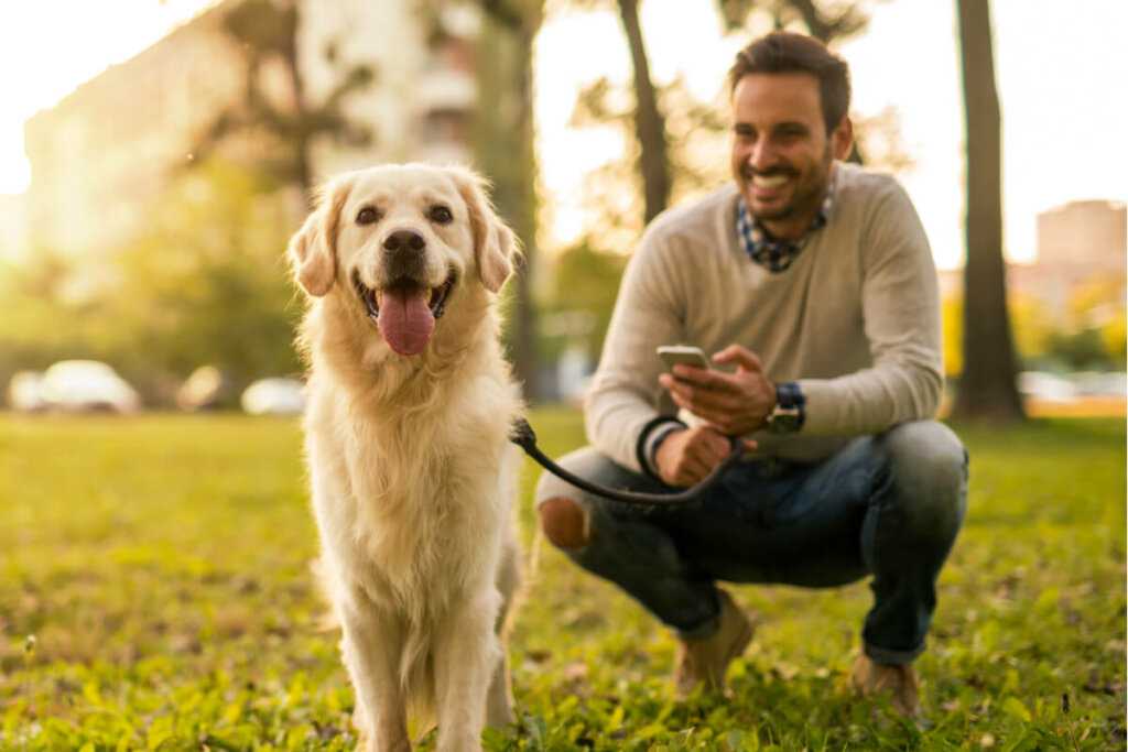 O pet sitter pode cuidar do seu animal de estimação enquanto você viaja (Imagem: bbernard | Shutterstock)