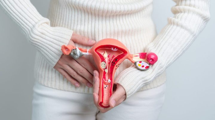Câncer de colo de útero é o 4º tumor mais incidente em mulheres de SC