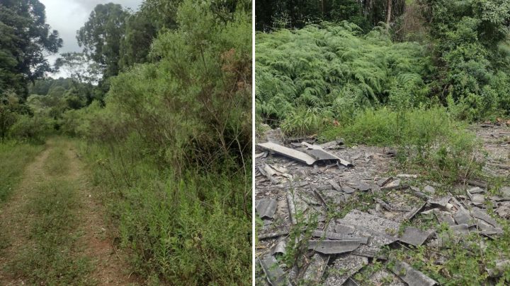 Corpo de mulher que estava desaparecida foi encontrado em área de mata em Xaxim