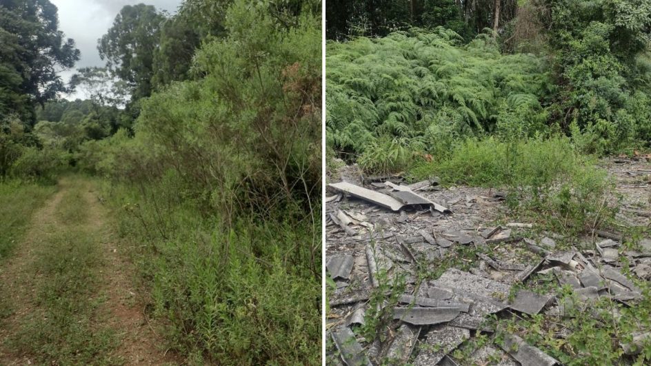 Corpo de mulher que estava desaparecida foi encontrado em área de mata em Xaxim