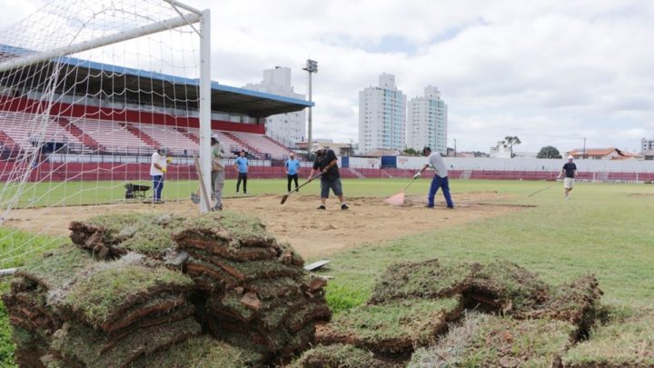 Estádio Tio Vida passou por revitalização do gramado (Foto: Prefeitura de Lages, Divulgação)
