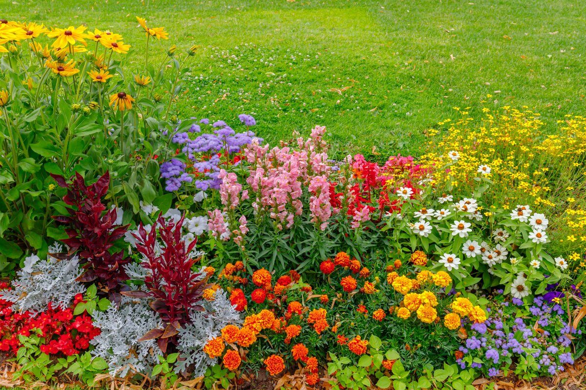 As flores são repletas de simbologia e transmitem mensagens (Imagem: nnattalli | Shutterstock)