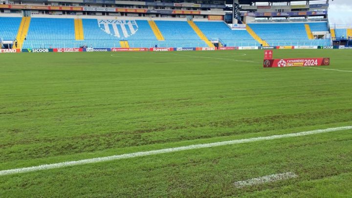 Gramado do estádio da Ressacada (Foto: Zé Maia, CBN Floripa)