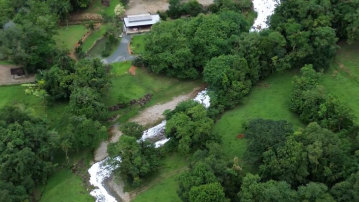 Joiville rio