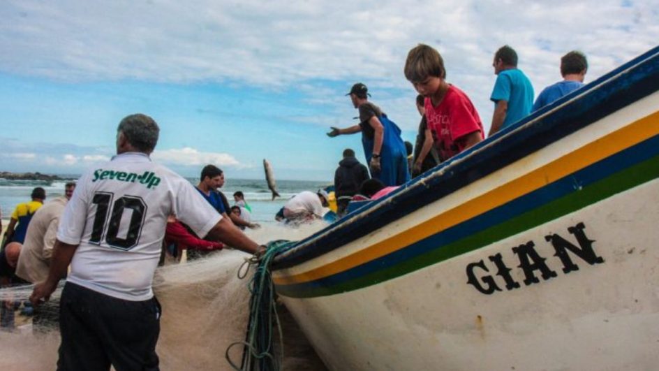 Ministério abre cadastramento de embarcações para safra da tainha 2024