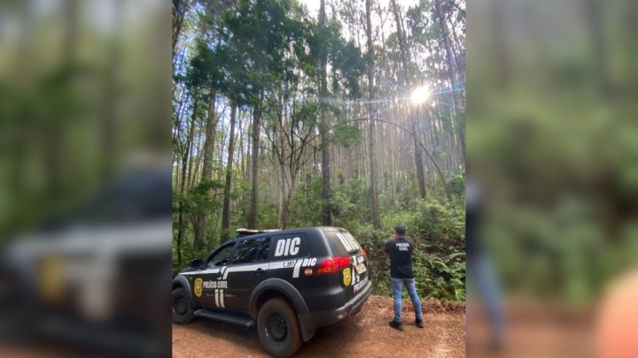 Idoso de 76 estava desaparecido desde o dia 12 de janeiro. (Foto: Divulgação/Polícia Civil de SC)