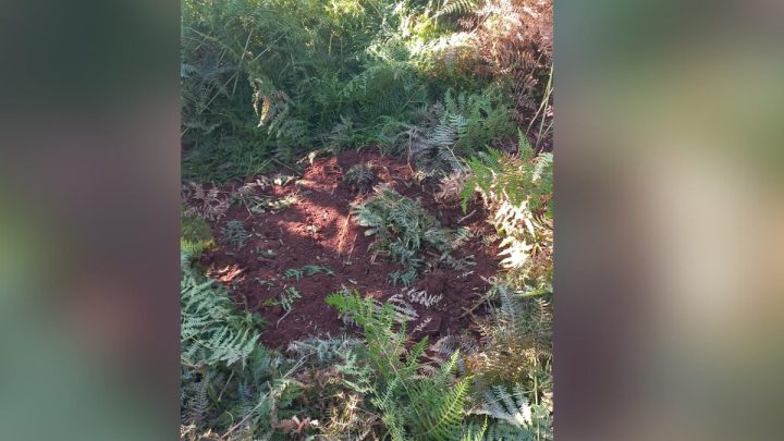 Passeio a cavalo termina com encontro de corpo de adolescente de 15 anos em SC