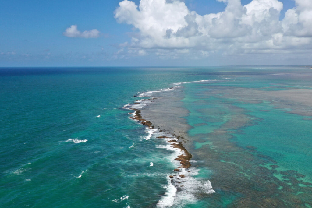 O litoral da Costa dos Corais &eacute; ideal para mergulhos e atividades como snorkeling (Imagem: Marcia Cobar | Shutterstock)