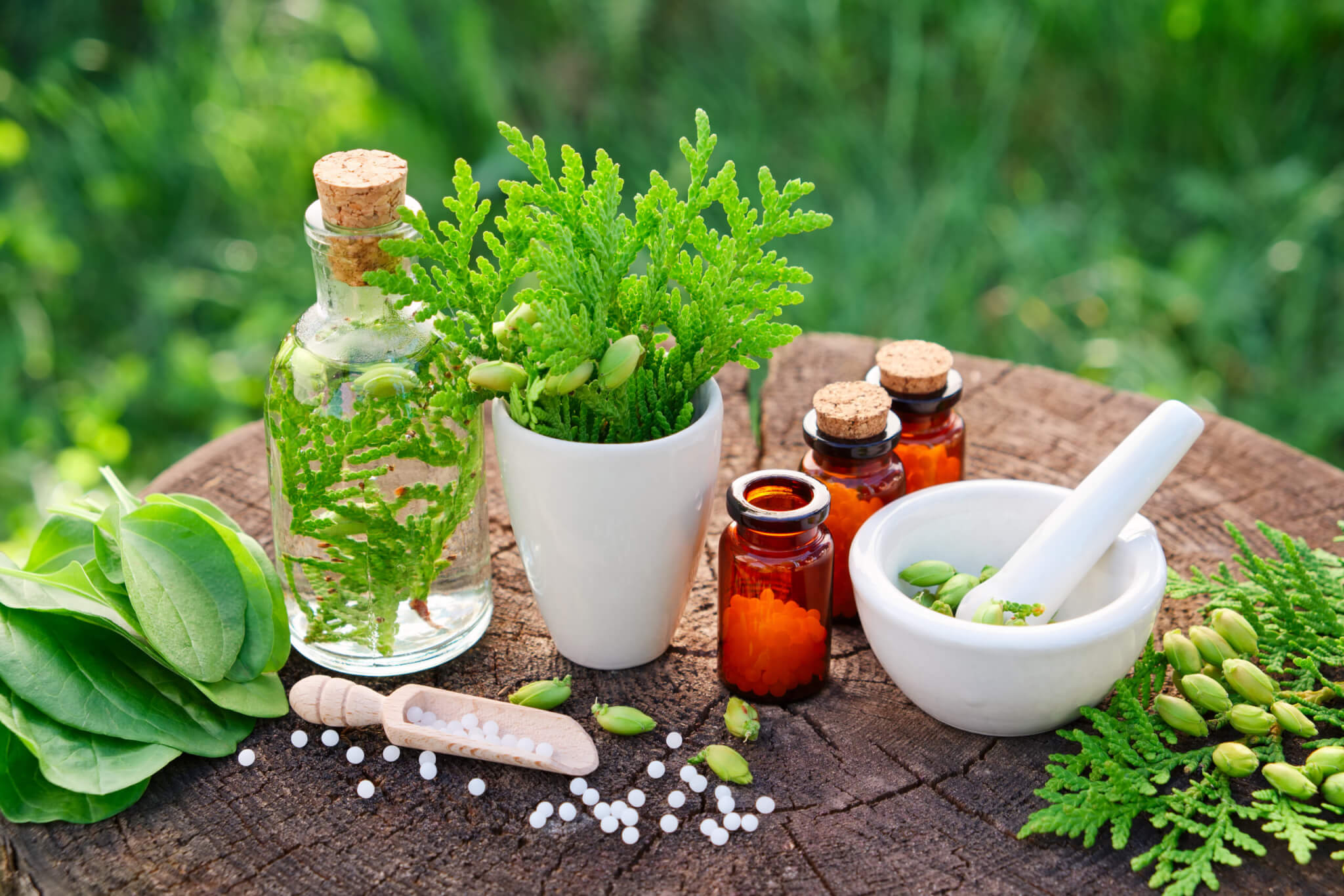 Tratamento homeopático é focado no paciente, não na enfermidade (Imagem: LN team | Shutterstock)