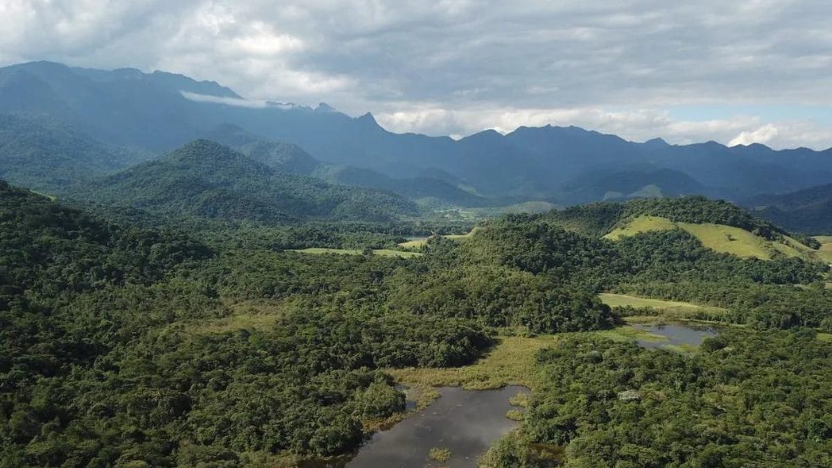 Reserva ambiental
