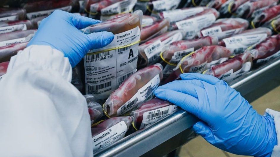 SC tem crescimento de 4,1% nas doações de sangue em 2023