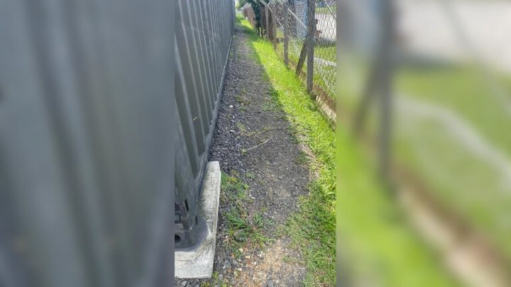 Tela divide espaço da imprensa e o campo (Foto: Acesc, Divulgação)