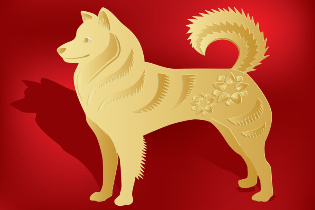 Os nativos de Cão devem aproveitar o período para renovar as suas metas (Imagem: Chonnanit | Shutterstock)