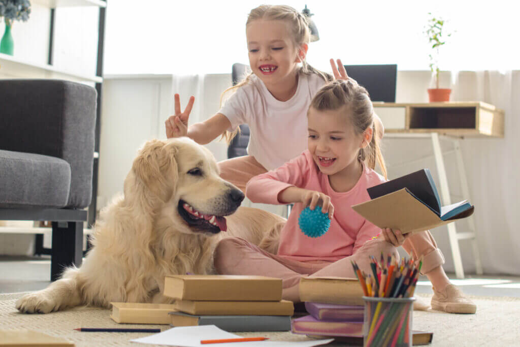 Brincadeiras podem ajudar a acalmar o animal quando está ansioso (Imagem: LightField Studios | Shutterstock)