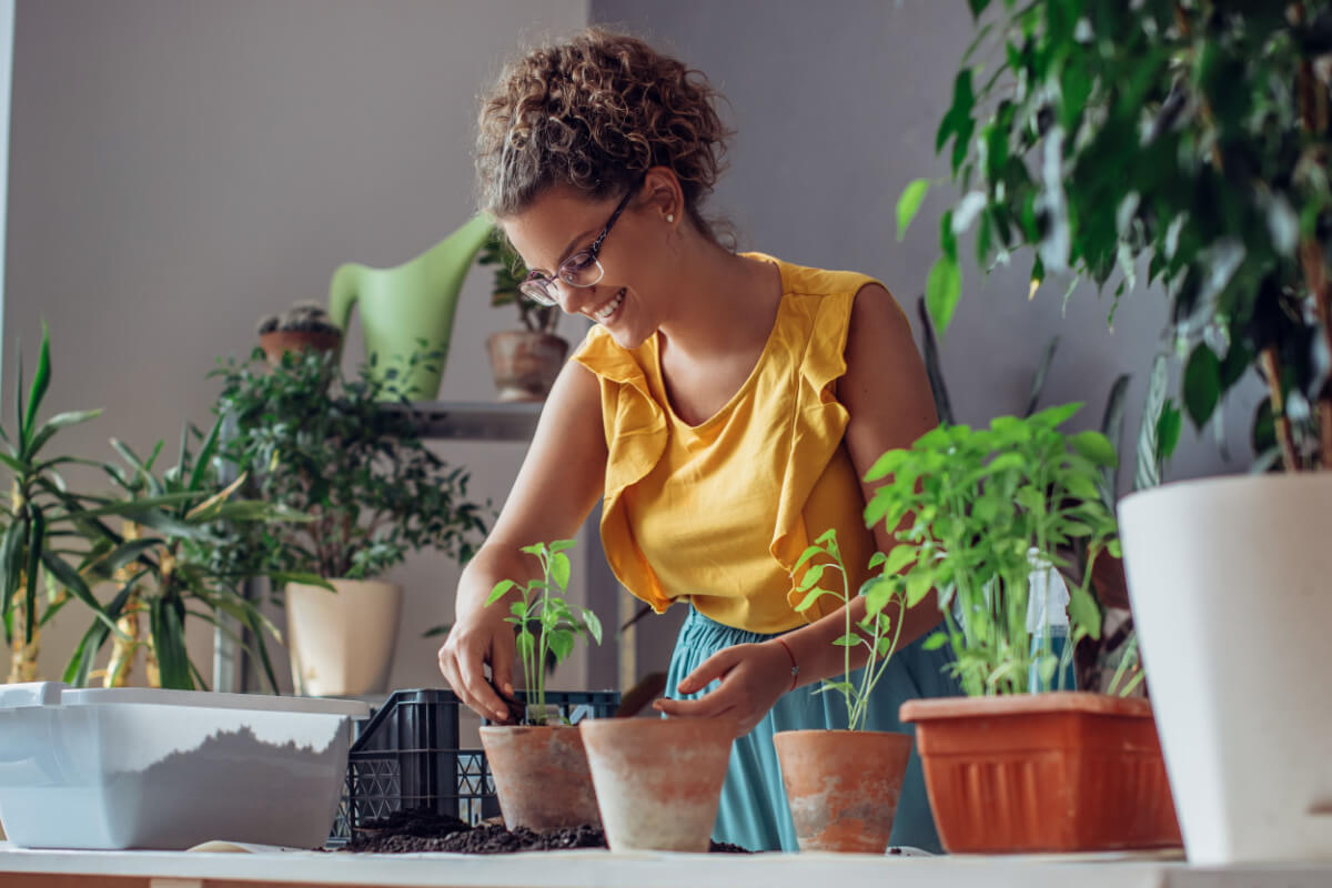 Começar 2024 com o cultivo de plantas e flores como novo hábito pode ser energizante (Imagem: Likoper | Shutterstock)