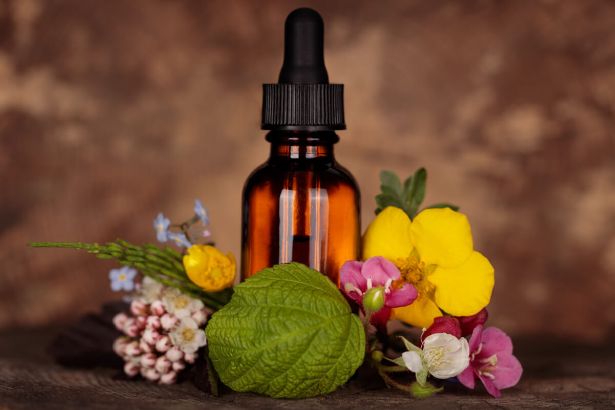 Os florais atuam sobre os principais estados de espírito, oferecendo um suporte natural para equilibrar e harmonizar as emoções (Imagem: MAXSHOT.PL | Shutterstock)