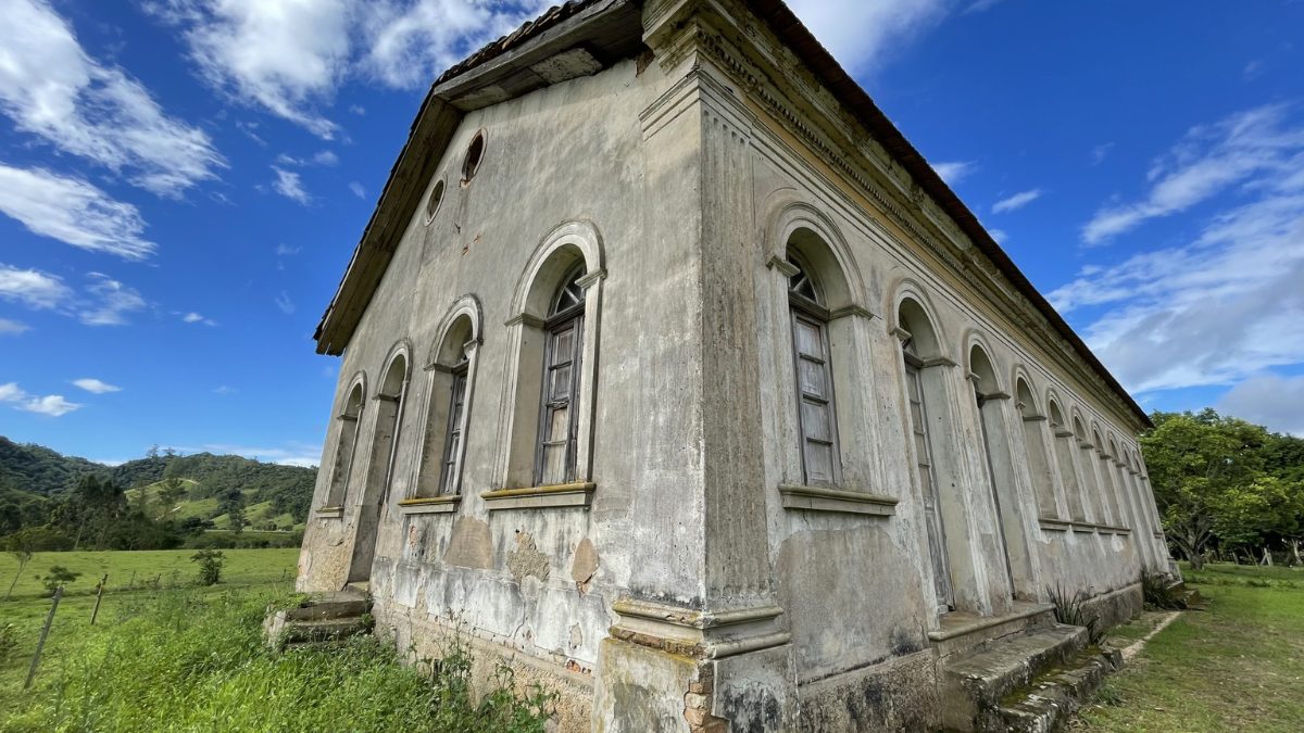 FOTOS: Campo de girass&oacute;is &agrave;s margens de rodovia encanta moradores de pequena cidade de SC