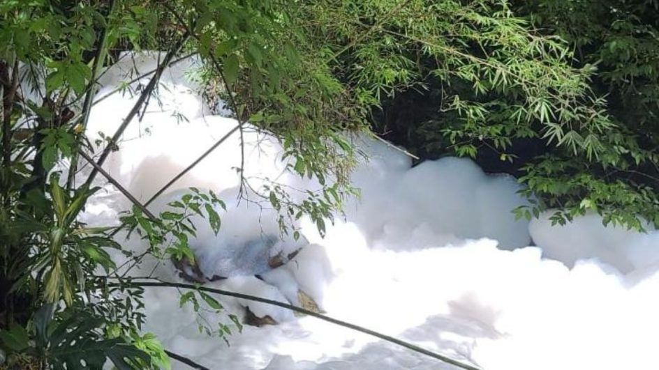 Polícia vai investigar espuma e contaminação por ácido sulfônico em rio de Joinville