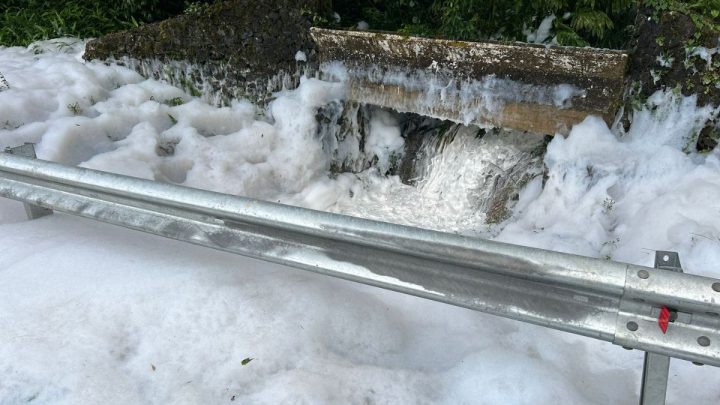 Rio Cubatão, em Joinville, está contaminado por ácido sulfônico