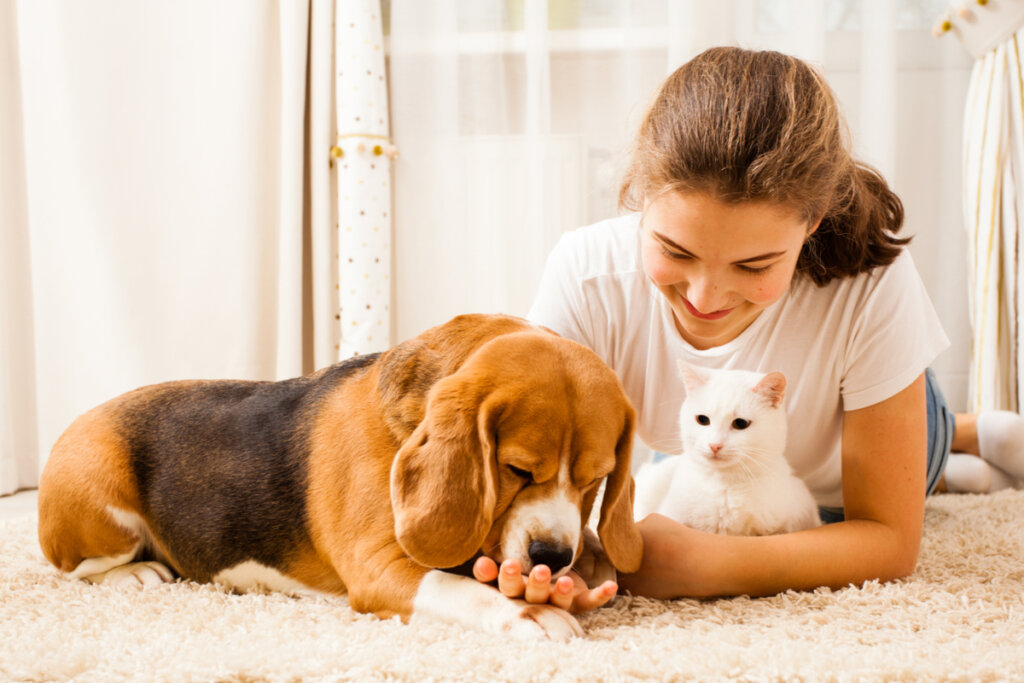 Cuidar da saúde do pet é importante para manter um bom convívio (Imagem: Oksana Shufrych | Shutterstock)