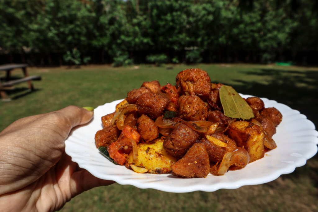 Carne de soja de panela (Imagem: Rainbow_dazzle | Shutterstock)