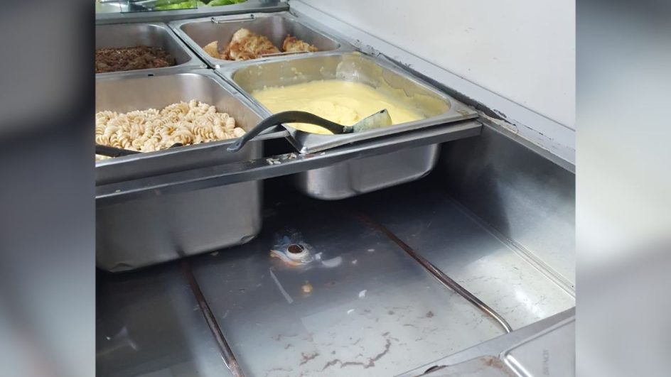 Vigilância Sanitária notifica empresa por problemas na alimentação na UPA Sul em Joinville