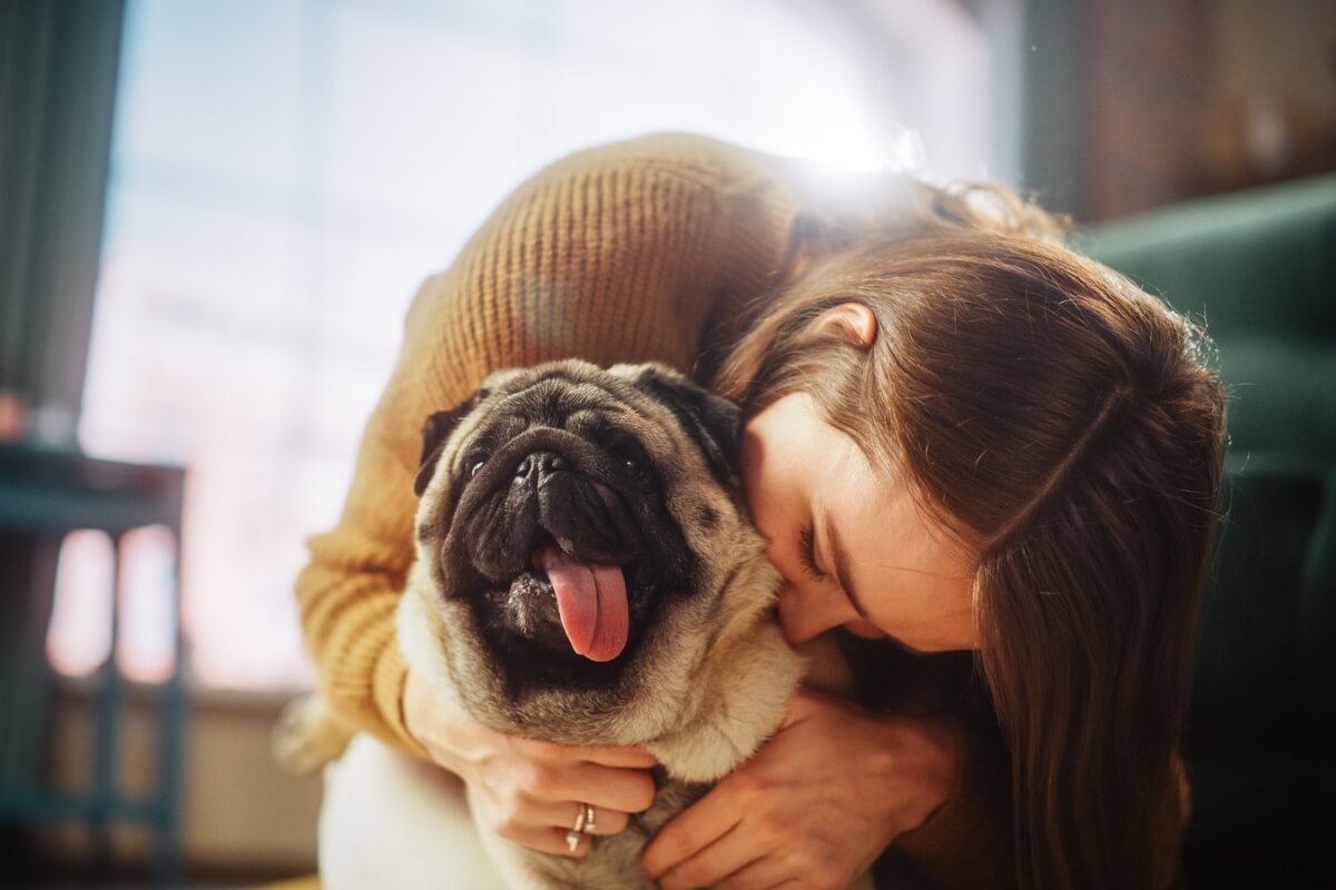 Cães de pequeno a médio porte se adaptam melhor a espaços menores (Imagem: Gorodenkoff | Shutterstock)