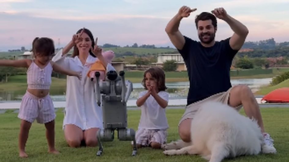 Cão alok