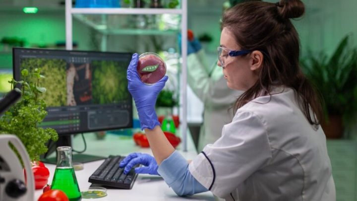 Mulher em laboratório observando experimento com carne vegana