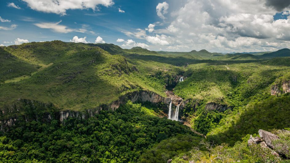 Chapada dos Veadeiros encanta os turistas por sua biodiversidade (Imagem: vitormarigo | Shutterstock)